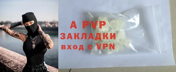 ПСИЛОЦИБИНОВЫЕ ГРИБЫ Верея