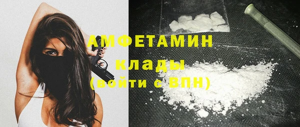 амф Михайловск