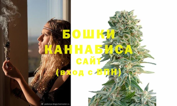 амф Михайловск