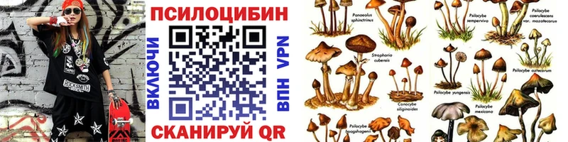 Галлюциногенные грибы мухоморы  KRAKEN зеркало  Малоярославец 
