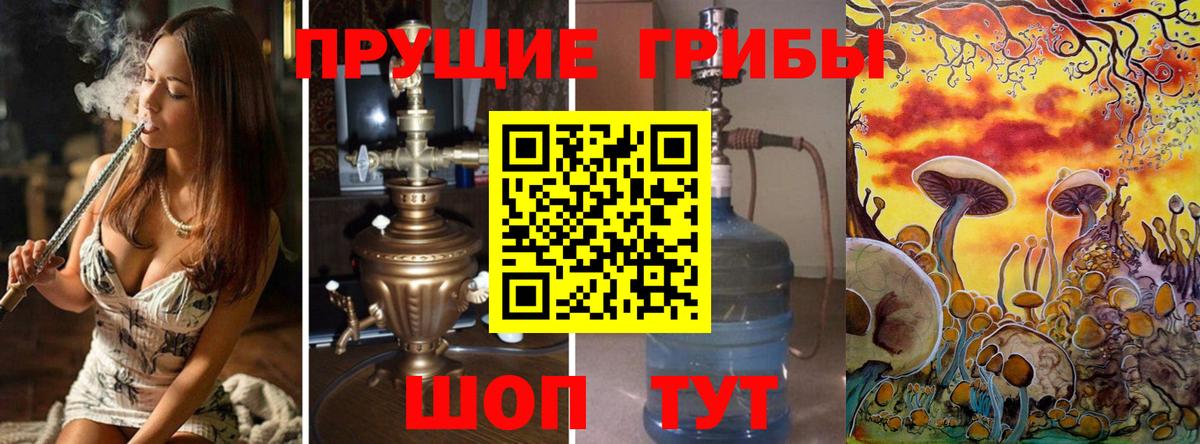 Малоярославец  Галлюциногенные грибы Magic Shrooms  Галлюциногенные грибы Psilocybine cubensis  Вход с VPN 