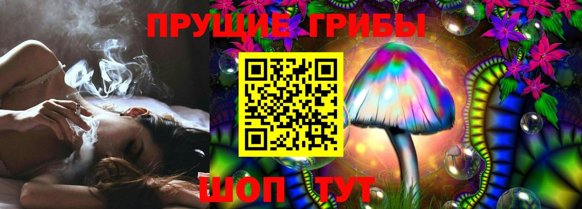 Псилоцибиновые грибы прущие грибы Малоярославец